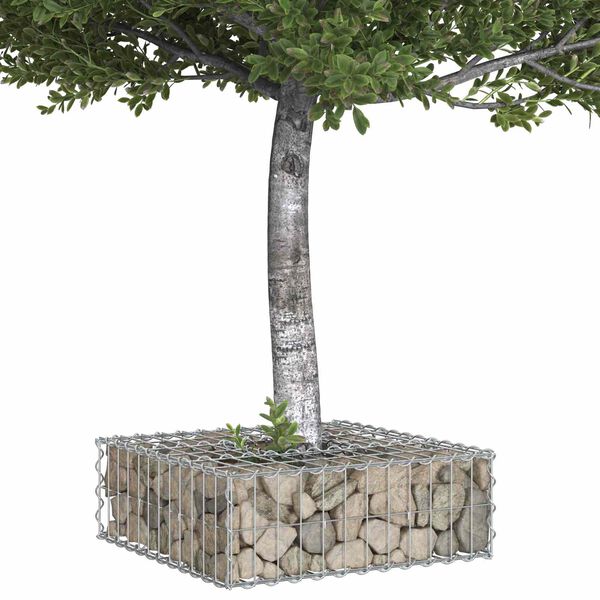 Showing Product Image 3 of 10