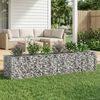 vidaXL Gabions pacelta gulta 2 pcs Sudraba 260 x 60 x 55 cm