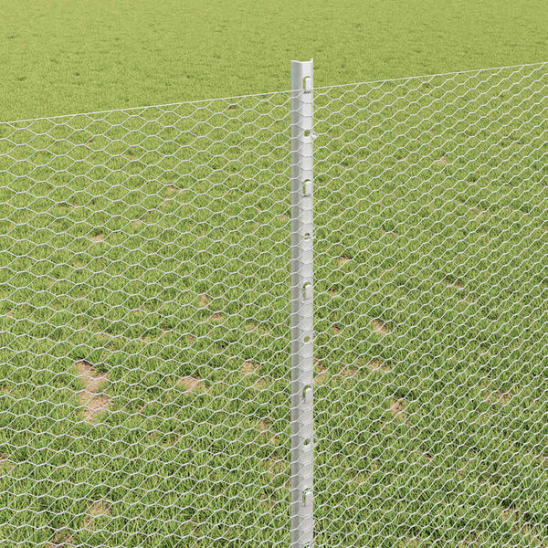 vidaXL Žogs ar stabu Sudraba 1 x 100 m Tērauds