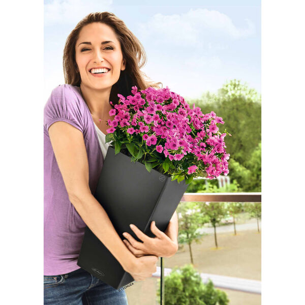 LECHUZA puķu kaste Cubico Color 30 ALL-IN-ONE, pelēkbrūna, 13138