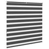 vidaXL žalūzijas zebra 150x150 cm auduma platums 145,9 cm poliesters
