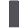 vidaXL Paku nodo&scaron;anas kaste Antracīts 41 x 38 x 103 cm Tērauds