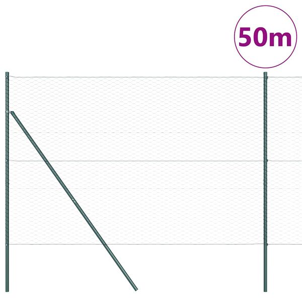 vidaXL Žoga āķis Zaļa 50 x 1,6 m (36 mm tīkls) Tērauds un PVC