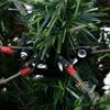Produkta sīktēla attēls 7 no 8