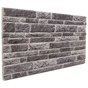 vidaXL Sienas paneļi 10 gab. 100 x 50 cm Antracīta EPS putas