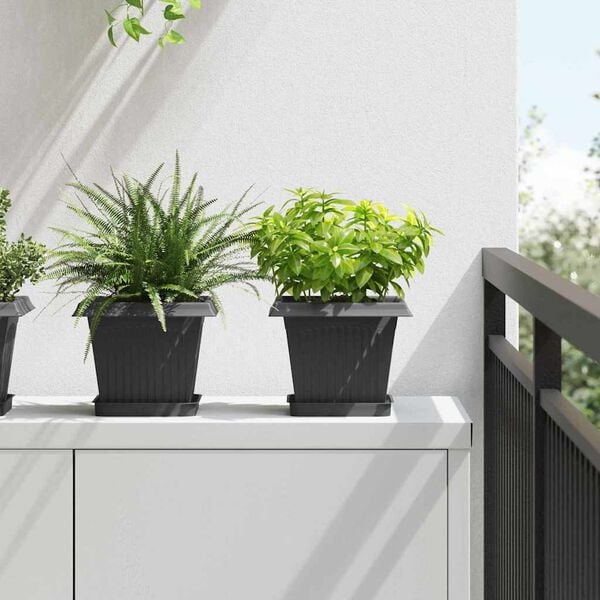 Showing Product Image 2 of 12
