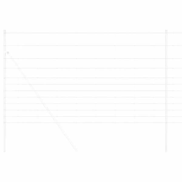 vidaXL Lauku žogs Sudraba 25 x 1,4 m Cinkots tērauds