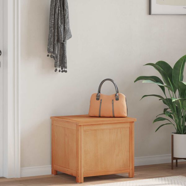 vidaXL Uzglabā&scaron;anas kaste ar uzglabā&scaron;anu Dabiska 50 x 45 x 45 cm