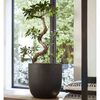 Produkta sīktēla attēls 6 no 15