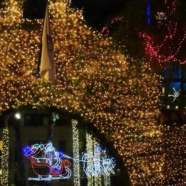 vidaXL Led tīkls Tum&scaron;i zaļ&scaron;