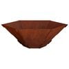 vidaXL Uguns bedre Rūsa 58,5 x 51,5 x 19,5 cm Novecināts tērauds