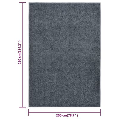 vidaXL paklājs, 200x290 cm, antracītpelēks