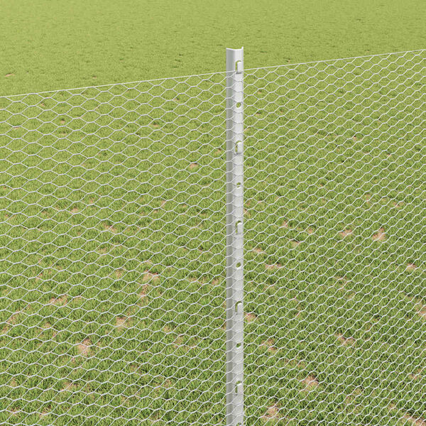 vidaXL Žogs ar stabu Sudraba 1,5 x 50 m Tērauds