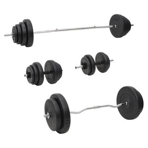 vidaXL svaru stienis un hanteles ar diskiem, 120 kg