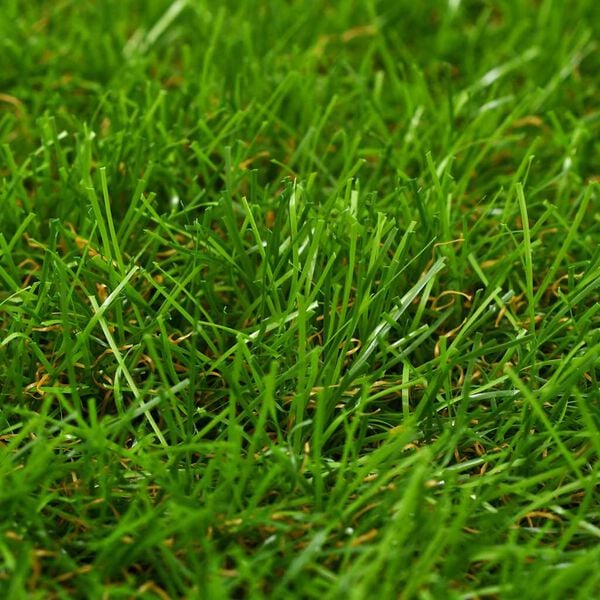 Showing Product Image 3 of 3