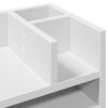 vidaXL rakstāmgalda organizators, balts, 44,5x24x25 cm, koks
