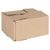 vidaXL Salokāma kaste 50 pcs Dabiska 20 x 15 x 10 cm Kartons