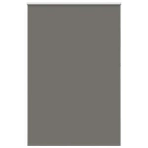 vidaXL Rullo žalūzija Blackout pelēks 165x210cm Auduma platums 161,6cm