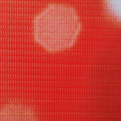 vidaXL istabas aizslietnis, 160x170 cm, saliekams, sarkans ar rozi