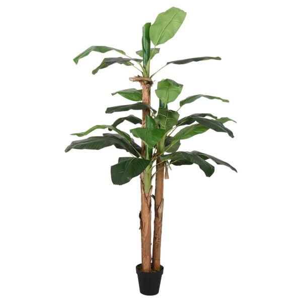 Showing Product Image 2 of 5