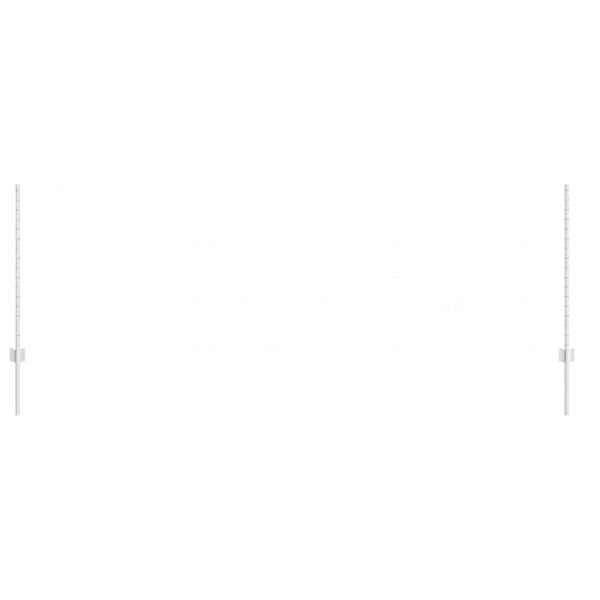 vidaXL Žoga āķis 11 pcs Sudraba 100 cm Tērauds