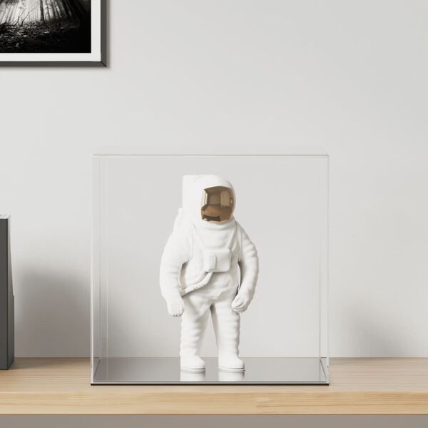 vidaXL vitrīnas kaste, caurspīdīga, 40x36x35 cm, akrils