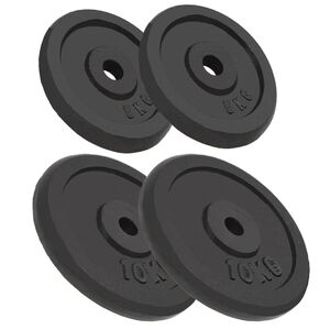 vidaXL svaru diski, 4 gab., 2x10 kg+2x5 kg, čuguns