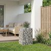 vidaXL Gabions pacelta gulta Sudraba 50 x 50 x 80 cm Cinkots tērauds