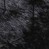 vidaXL paklājs, 300x200 cm, Shaggy, NAVARRA, melns, poliesters