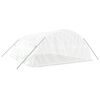 vidaXL siltumnīca ar tērauda rāmi, balta, 30 m&sup2;, 6x5x2,3 m