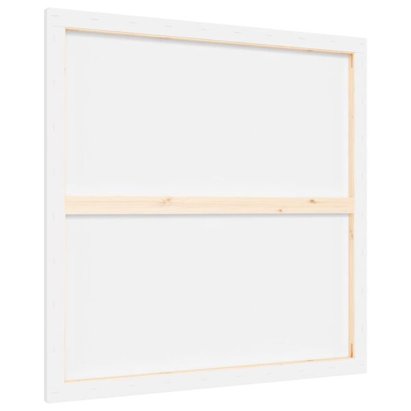 vidaXL audekls glezno&scaron;anai, 12 gab., balts audums un priedes masīvkoks