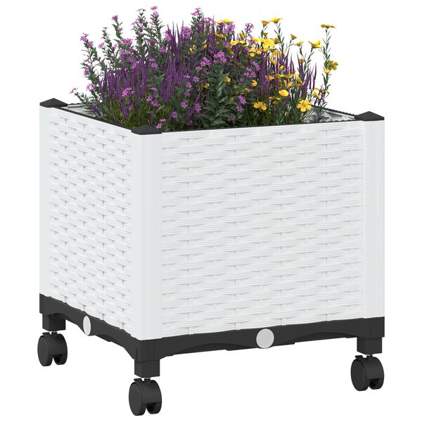 Showing Product Image 3 of 8