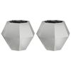 vidaXL Puķu kaste 2 pcs Sudraba 50 x 50 x 40 cm Cinkots tērauds