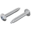 vidaXL Koka skrūves 2 gab. Sudraba M4 x 25 mm Tērauds