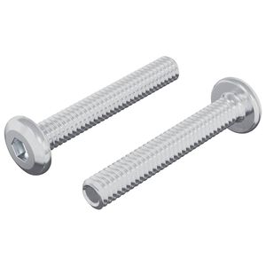 vidaXL Slēdzene skrūve Vienkrāsains 2 pcs Sudraba M6 x 35 mm Tērauds