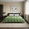 vidaXL Ziemas gultas sega Tiltiņ&scaron; Zaļa 200 x 220 cm Mikro&scaron;ķiedra