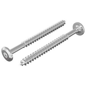 vidaXL Koka skrūves 2 gab. Sudraba M6 x 70 mm Tērauds