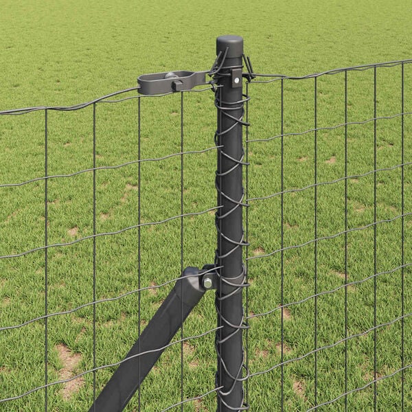 Showing Product Image 4 of 15
