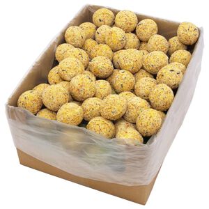 vidaXL putnu tauku bumbas putniem, 200 gab., 90 g