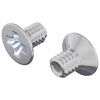 vidaXL Iegremdē&scaron;anas skrūves 2 gab. Sudraba M4 x 6 mm Tērauds