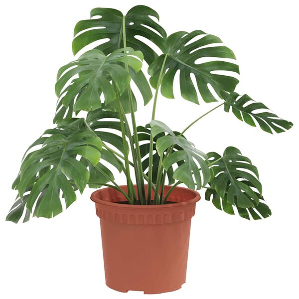 vidaXL Apaļais puķu pods 24 pcs Ķieģeļu sarkans &Oslash; 12,5 x 10 cm