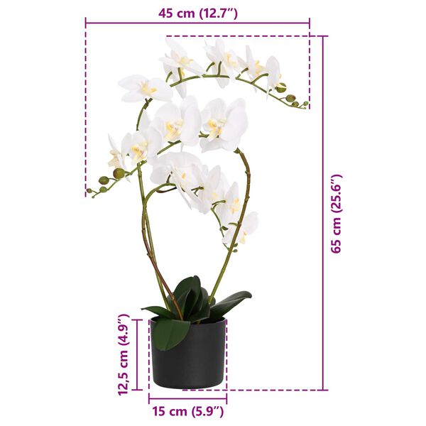 Showing Product Image 4 of 4