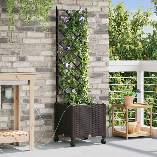 Showing Product Image 2 of 7