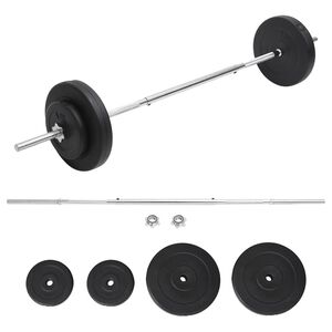 vidaXL svaru stienis ar diskiem, 30 kg