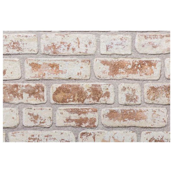 vidaXL Sienas paneļi 10 pcs Sarkana un balta 100 x 50 cm EPS putas