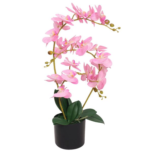 Showing Product Image 1 of 2