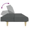 vidaXL 2-vietīga dīvāngulta ar kāju balstu, tum&scaron;i pelēks audums