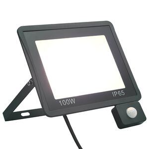 vidaXL LED prožektors ar sensoru, 100 W, vēsi balta gaisma