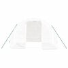 vidaXL siltumnīca ar tērauda rāmi, balta, 6 m², 3x2x2 m