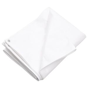 vidaXL brezenta pārklājs, 260 g/m&sup2;, 2x3 m, balts, HDPE